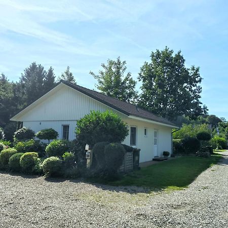 Ferienhaus Inger - Stilvolles Und Modernes Ferienhaus Mit Terrasse Und Gartennutzung Tarp Exteriör bild