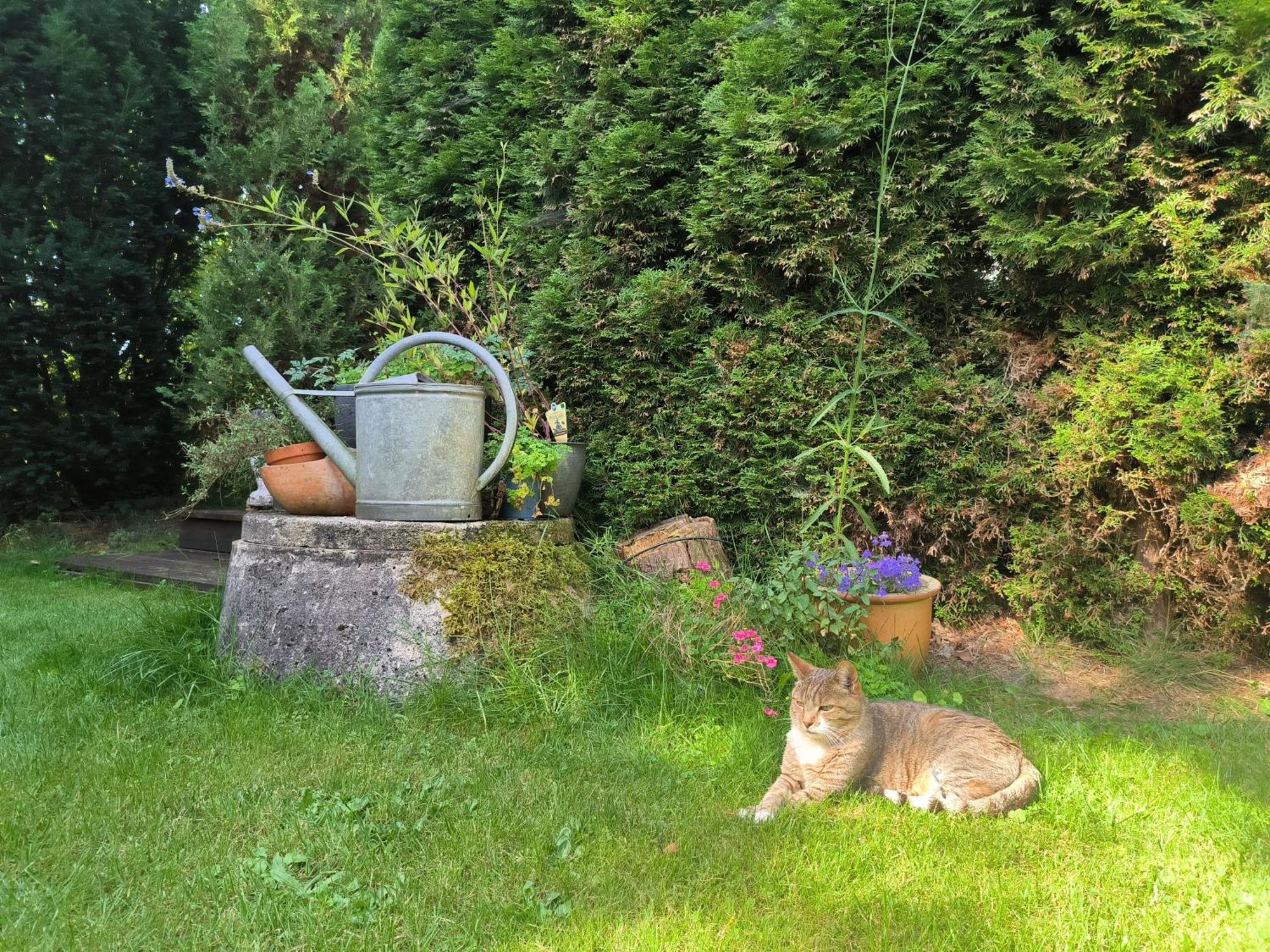 Ferienhaus Inger - Stilvolles Und Modernes Ferienhaus Mit Terrasse Und Gartennutzung Tarp Exteriör bild